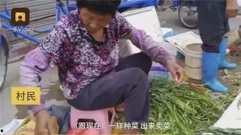 广东阿姨阿叔吃瓜视频下载,趣味横生的社区生活瞬间