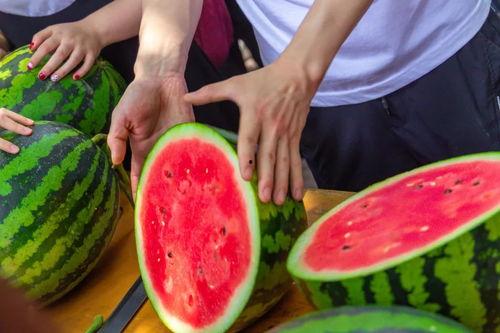 现场精准吃瓜视频大全集,一网打尽全网热门视频集锦