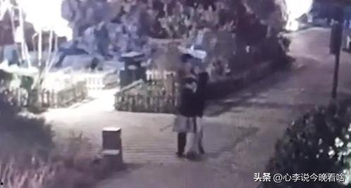 平遥吃瓜事件真相视频播放,揭秘真相背后的惊人内幕