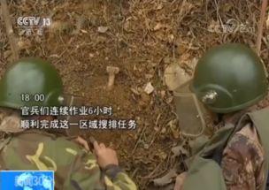 云南边境吃瓜原视频,一场视觉与味觉的双重盛宴