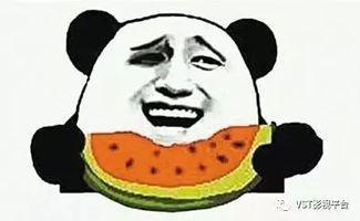 吃瓜群众拜年视频,欢乐喜庆，趣味横生