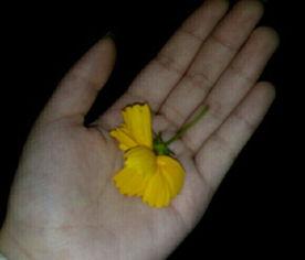 路人吃瓜素材视频大全,路人吃瓜素材视频大盘点