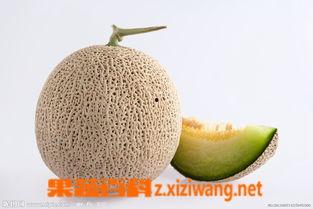 吃哈密蜜瓜爽视频,尽在这一刻